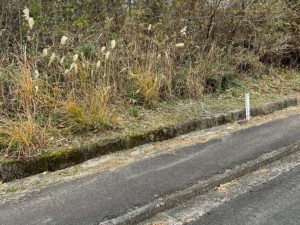 亀山市関ケ丘、土地の画像です