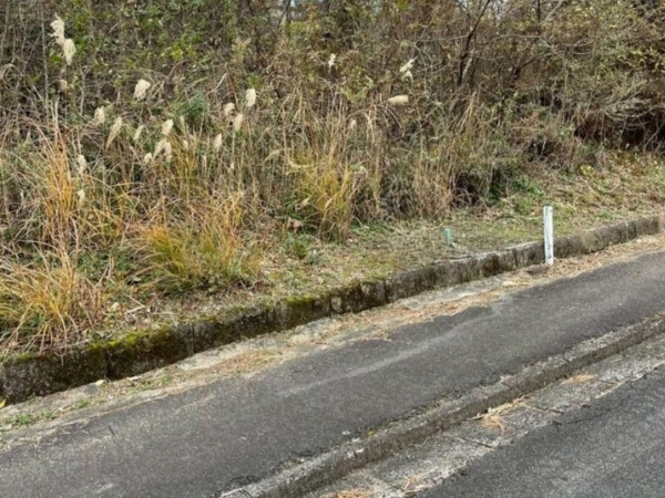 亀山市関ケ丘、土地の画像です