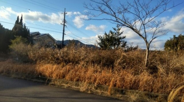 亀山市関ケ丘、土地の画像です