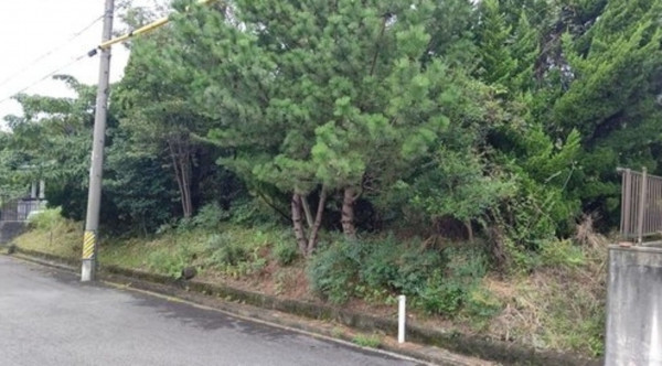 亀山市関ケ丘、土地の間取り画像です