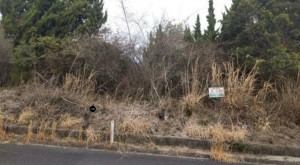 亀山市関ケ丘、土地の画像です