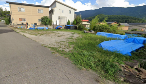 上高井郡高山村大字高井、土地の画像です