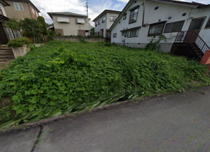 上高井郡高山村大字高井、土地の画像です