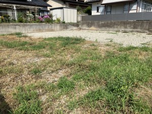上高井郡高山村大字高井、土地の画像です