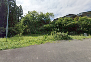 上高井郡高山村大字高井、土地の画像です