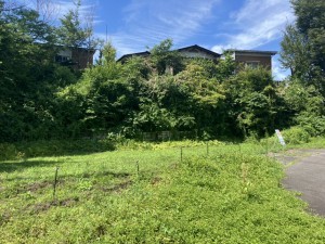 上高井郡高山村大字高井、土地の画像です