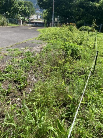 上高井郡高山村大字高井、土地の画像です