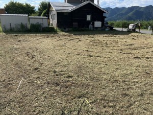 上高井郡高山村大字高井、土地の画像です