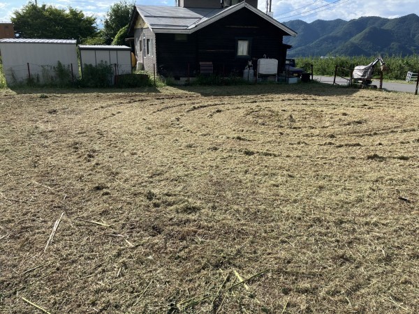 上高井郡高山村大字高井、土地の画像です
