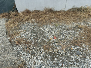 長野市吉田４丁目、土地の画像です