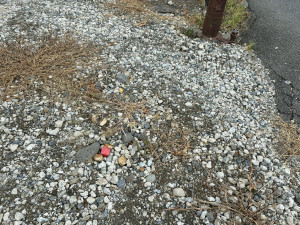 長野市吉田４丁目、土地の画像です