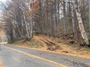 上高井郡高山村大字奥山田、中古一戸建ての画像です