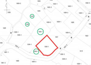 上高井郡高山村大字奥山田天神原、土地の間取り画像です