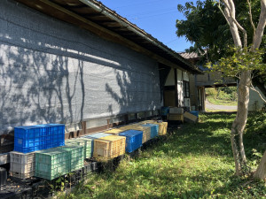 上高井郡高山村大字奥山田天神原、土地の画像です
