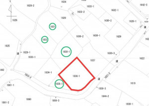 上高井郡高山村大字奥山田天神原、土地の画像です