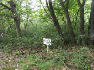 長浜市西浅井町、土地の画像です