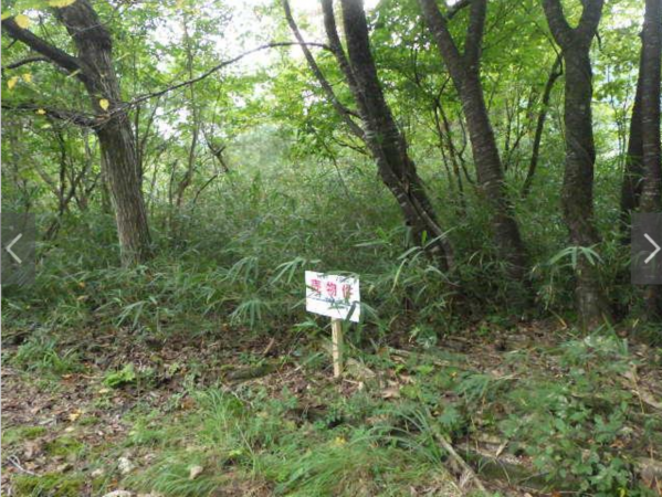 長浜市西浅井町、土地の画像です