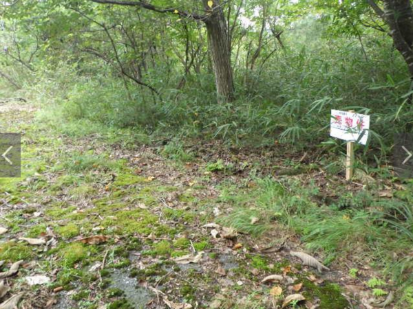 長浜市西浅井町、土地の画像です