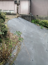 長浜市木之本町、土地の画像です
