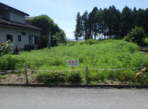 長浜市法楽寺町、土地の画像です