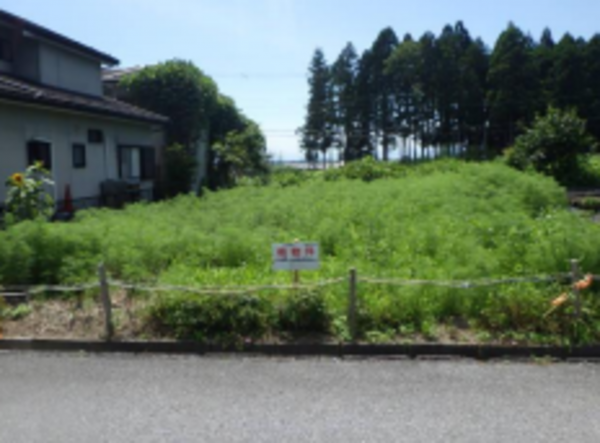 長浜市法楽寺町、土地の画像です