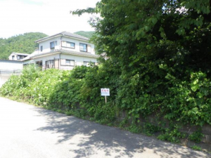 長浜市小野寺町、土地の画像です