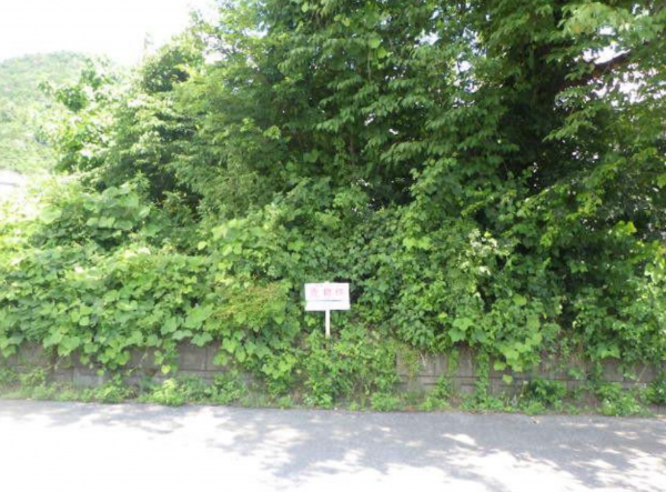 長浜市小野寺町、土地の間取り画像です