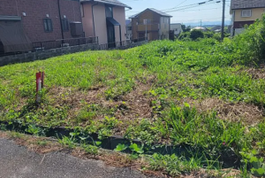 長浜市法楽寺町、土地の画像です