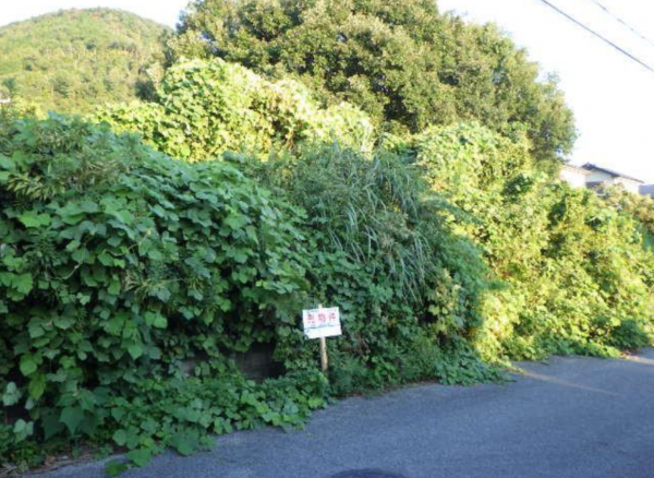長浜市法楽寺町、土地の画像です