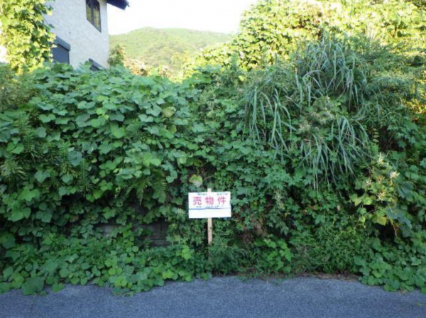 長浜市法楽寺町、土地の間取り画像です