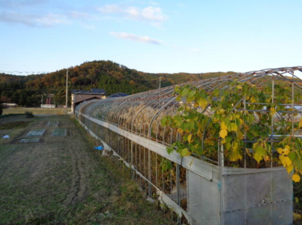 長浜市大依町、収益物件/倉庫の画像です