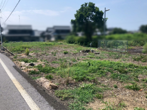 長浜市湖北町山本、土地の画像です