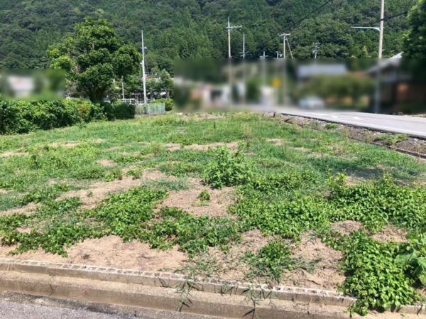 長浜市湖北町山本、土地の画像です