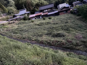 長浜市石田町、土地の画像です