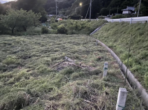 長浜市石田町、土地の画像です