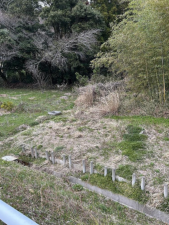 長浜市石田町、土地の画像です