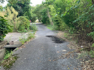 米原市堂谷、中古一戸建ての前面道路を含む現地写真画像です
