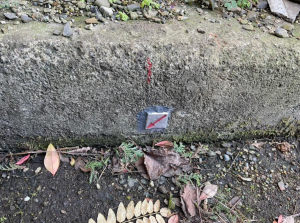 長浜市平方町、土地の画像です