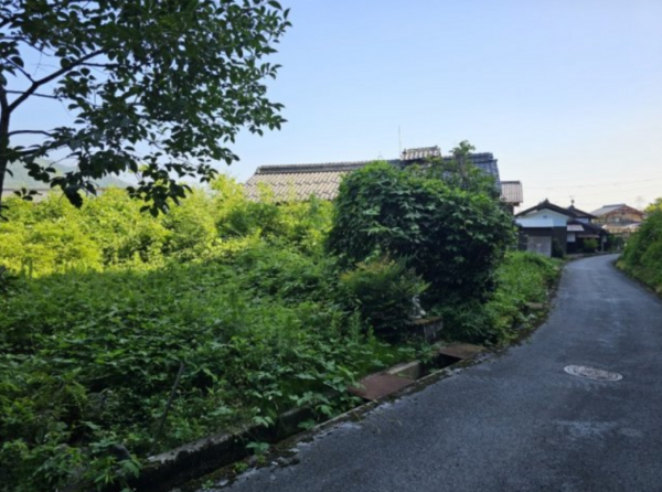 長浜市当目町、土地の画像です