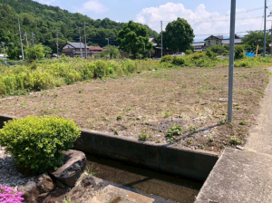 長浜市湖北町山本、土地の画像です