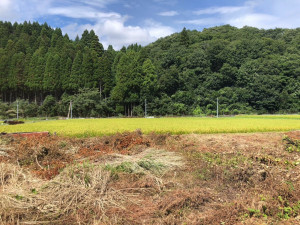 長浜市西浅井町、土地の画像です