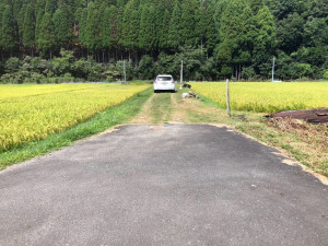長浜市西浅井町、土地の画像です