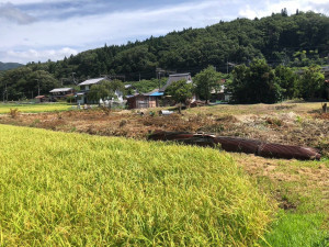 長浜市西浅井町、土地の画像です