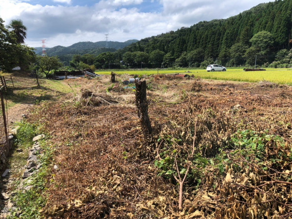 長浜市西浅井町、土地の画像です