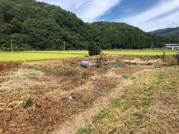 長浜市西浅井町、土地の画像です