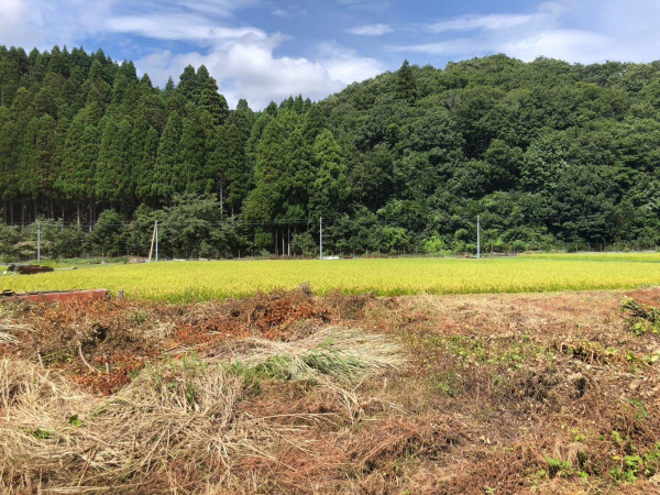長浜市西浅井町、土地の画像です