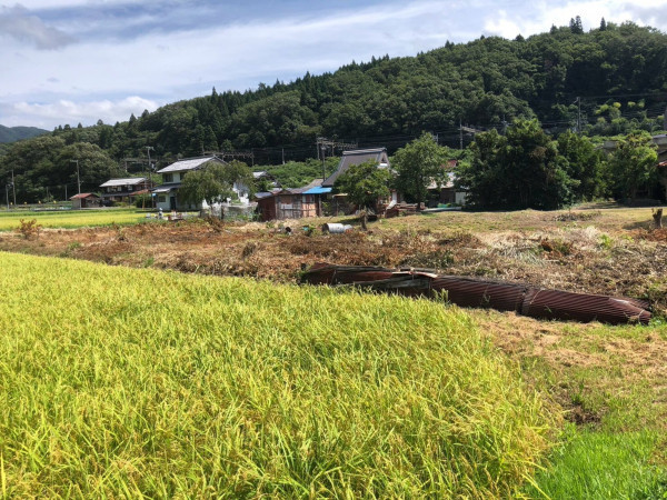 長浜市西浅井町、土地の画像です