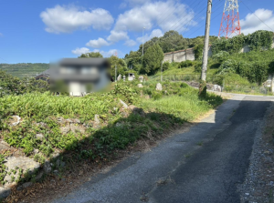米原市河南、土地の画像です