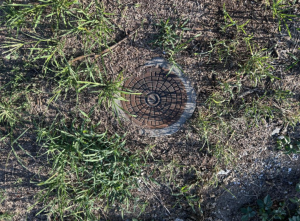 米原市入江、土地の画像です