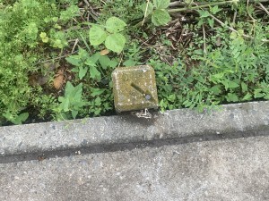 上尾市藤波、土地の画像です